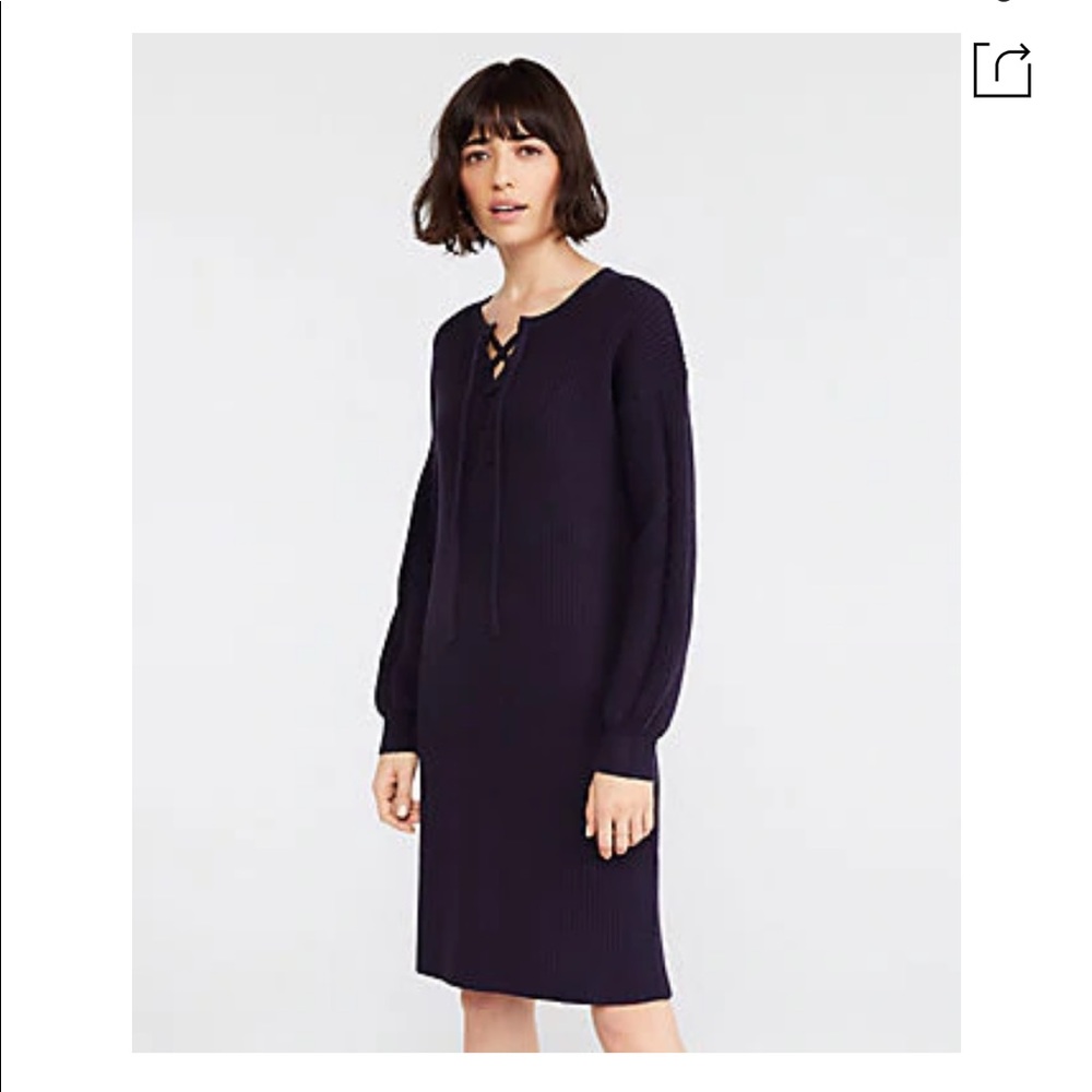 Ann Taylor Lace Up Sweater Dress In Night Sky, ski resort